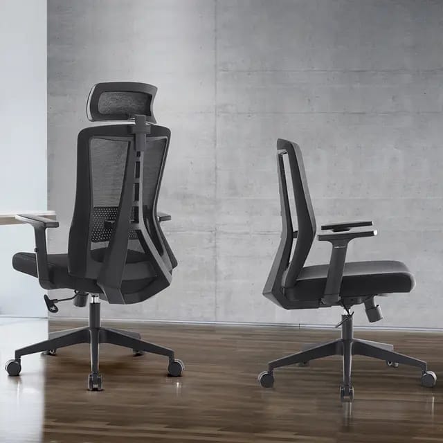 Alpha Back - Ergonomic Chair