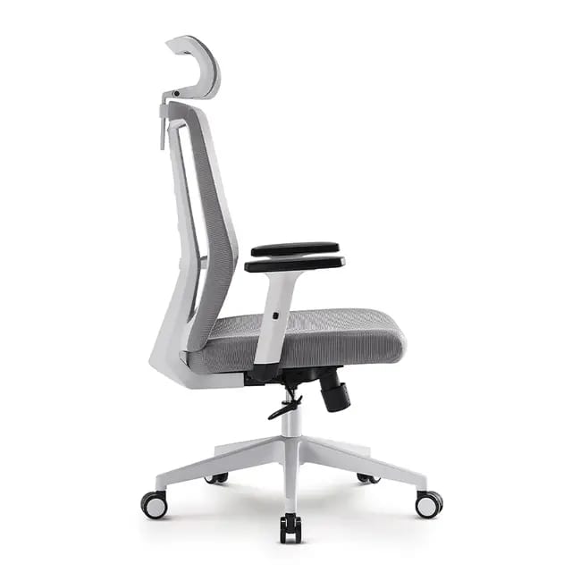 Alpha Back - Ergonomic Chair
