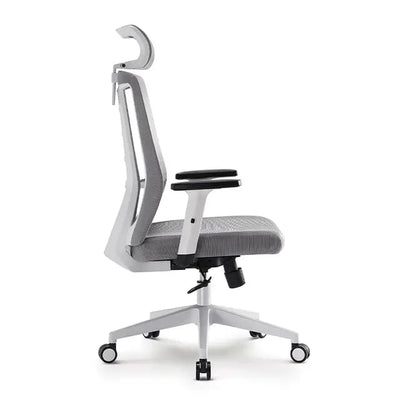 Alpha Back - Ergonomic Chair